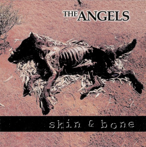 Skin & Bone