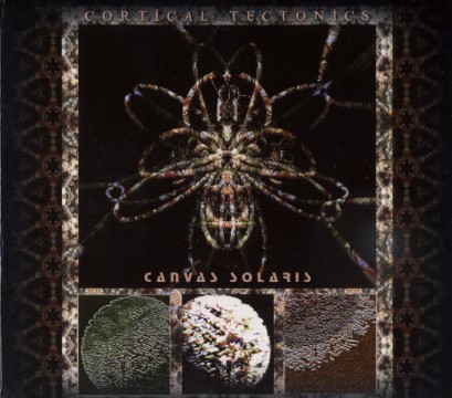 Cortical Tectonics