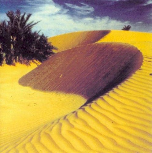 Death Seed