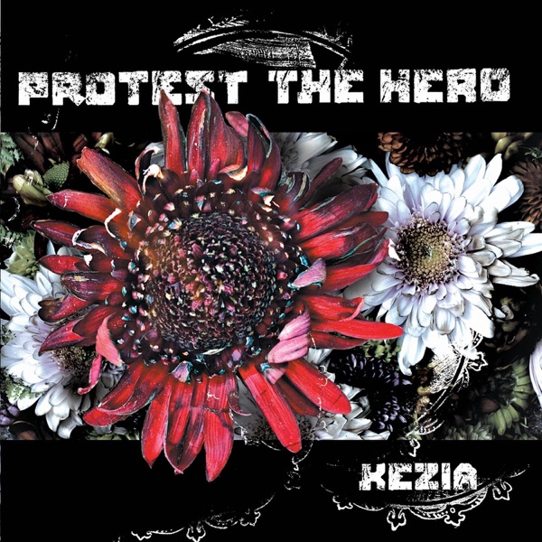 Protest the Hero