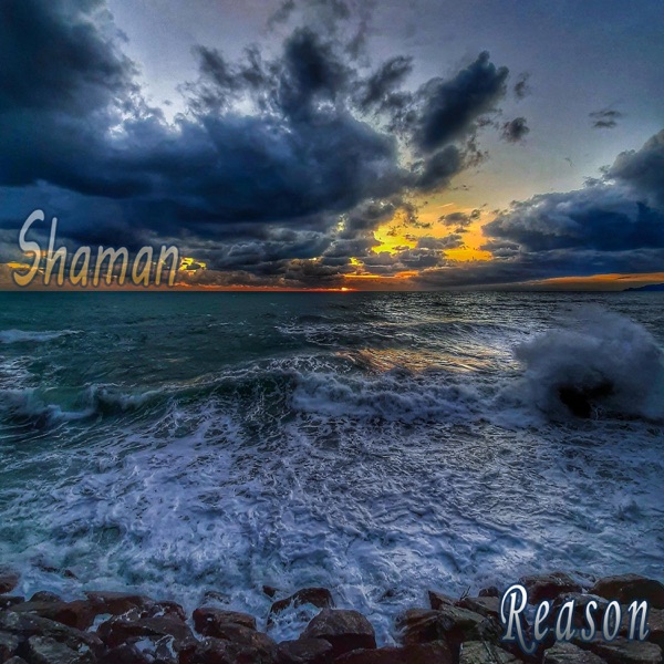 Reason