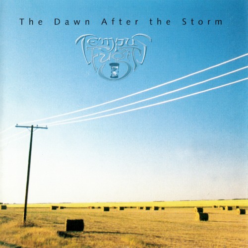 The Dawn After the Storm